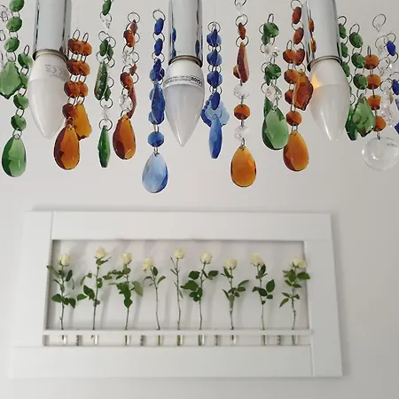 Mit Charme Mond Homestay Nuremberg